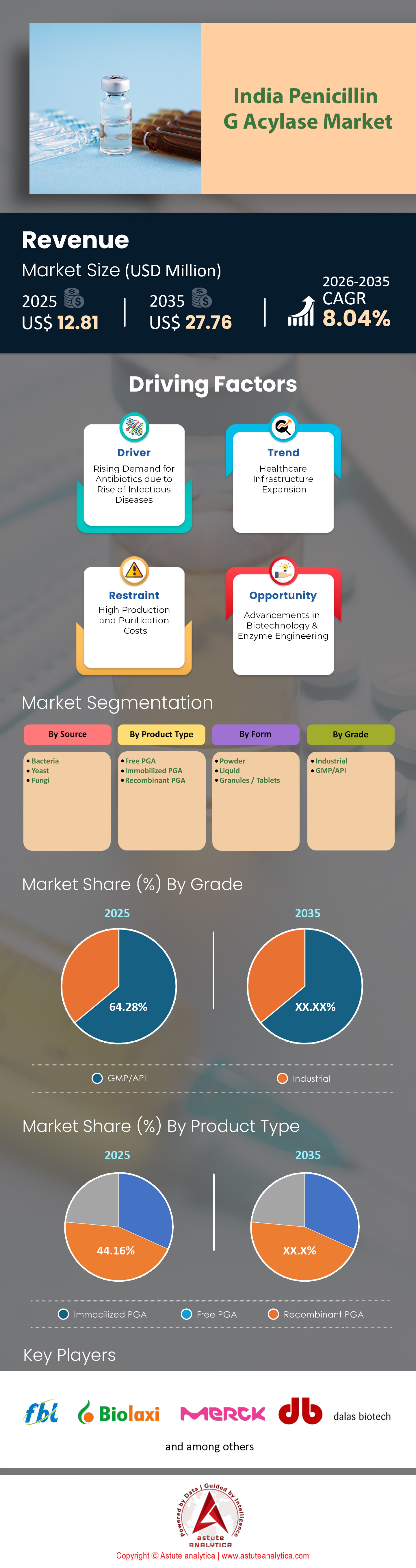 インドのペニシリンGアシラーゼ市場